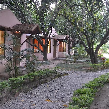 Vanya River Lodge Dhikuli 외부 사진
